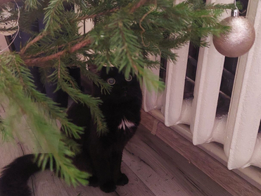 В Серове произошел сбой на котельной, пришлось эвакуировать городскую больницу