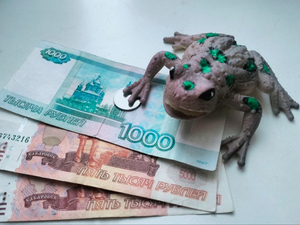 Инвестиции в России упали на 3,1% в III квартале, в 2026 г. спад продолжится