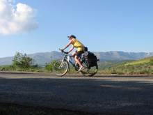 Управляющая компания сети Desport все ближе к банкротству