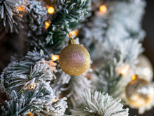 Синоптики обещают относительно теплые, но снежные январские каникулы