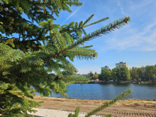 На вторую очередь благоустройства нижегородского парка выделили около 200 млн руб.