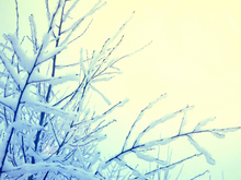 Сильные морозы установятся в Новосибирске в первую рабочую неделю года