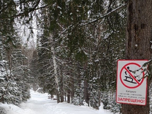 На Красноярских Столбах ввели запрет катания. Где именно? 