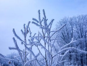 В Новосибирске немного потеплеет к середине рабочей недели