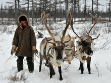 Школу предпринимательства для коренных народов запустят в Красноярском крае