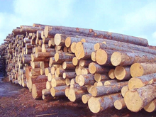 Мировой масштаб: куда экспортировали лес из Красноярского края за 2025?