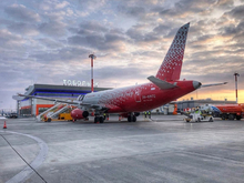 Пострадавшая от птицы российская авиакомпания засудила аэропорт Тобольска