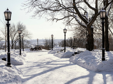 К концу недели в Новосибирске потеплеет и усилится ветер