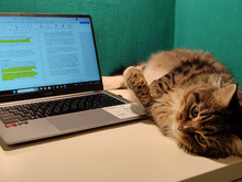 Роскомнадзор ограничил работу более 400 VPN-сервисов в январе