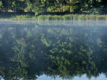 В Нижегородской области возьмут под охрану болотный массив