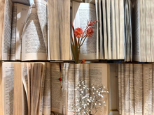 Петербургский суд начал дело о банкротстве издательства «Символ-Плюс»