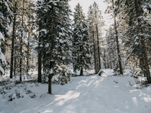 Тепло, пасмурно и без осадков в Новосибирске на выходных