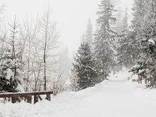 Потепление обещают синоптики новосибирцам к концу рабочей недели