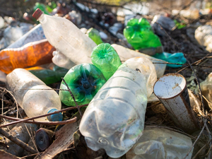 Новосибирскую область отнесли к регионам со сложной ситуацией с мусорной реформой