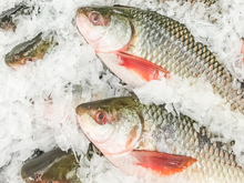 Новосибирская область за два года увеличила экспорт рыбы на 278,1%