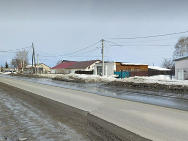 Под Тюменью введен карантин из-за выявления очага бешенства животных