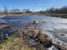 С администрации Кстовского района взыскали 2,6 млн руб. ущерба от нефтепродуктов