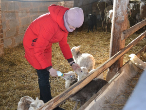 Объем поддержки нижегородских фермерских хозяйств и сельхозкооперативов увеличат на 20%