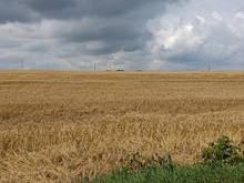 Дело основателя «Русагро» завершено, сумма ущерба достигла 86 млрд руб.