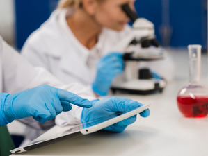 В Новосибирске на базе двух институтов создадут Федеральный исследовательский центр