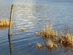 С новосибирской нефтебазы взыскали 67 миллионов за загрязнение Оби