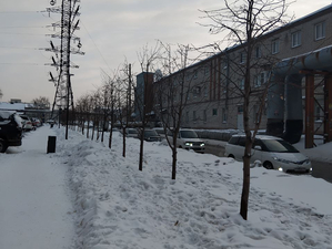 Участки дорог Новосибирска, где нельзя парковаться из-за уборки снега. Список