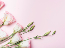 Спрос на цветы в Новосибирске вырос в этом феврале на 27% по сравнению с прошлым