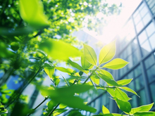 «Ингосстрах» подвел итоги реализации социальных проектов за 2025 год