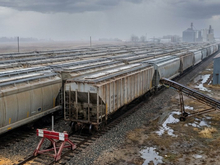 Агро-тормоз: что сдерживает поставки продукции красноярского АПК