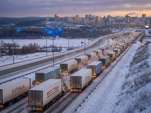 Птичья доля: кто кормит Красноярский край курицей