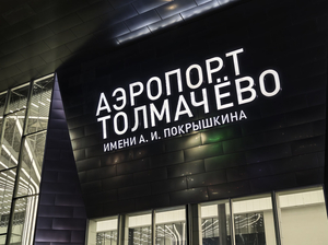 Учредителю АО «Аэропорт Толмачево» запретили проводить часть закупок без торгов