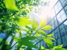 «Ингосстрах» подвел итоги реализации социальных проектов за 2025 г.