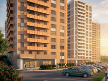 «Сибиряк» берет панельный реванш   