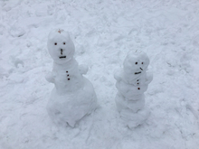 Виновата зима: в тюменском правительстве объяснили рост стоимости ЖКУ