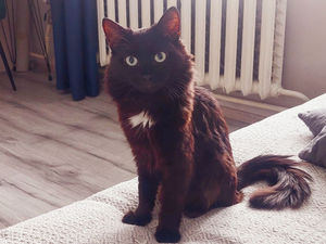 ФАС: коммунальные тарифы в январе выросли всего на 1,7%, других повышений не было