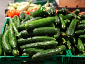 ФАС проверит закупочные и розничные цены на огурцы в крупнейших торговых сетях