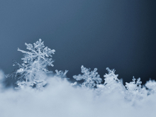 Ветреная и довольно холодная погода в Новосибирске на выходных
