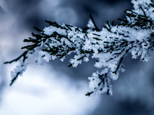 Синоптики прогнозируют сильные морозы в Новосибирске