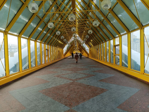 Налоговая взыскала 9 млрд руб. с нетрудоустроенных, но имеющих доход россиян