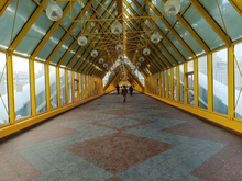 Налоговая взыскала 9 млрд руб. с нетрудоустроенных, но имеющих доход россиян