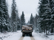 Красноярских предпринимателей поймали на контрабанде леса: ущерб — 150 млн рублей