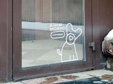 «Додо Пицца» станет pet-friendly после скандала с курьером, уволенным из-за помощи собаке