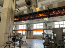 Жители Тюменской области существенно сократили потребление пива