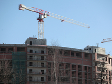 Племенной завод «Приневское» займется постройкой жилья в Петербурге