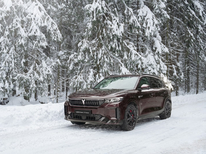 В VOYAH Оками поступила ограниченная партия премиальных кроссоверов в эксклюзивном цвете