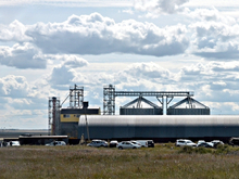 Спрос на аграриев: каких специалистов ищут в сельских районах Челябинской области  