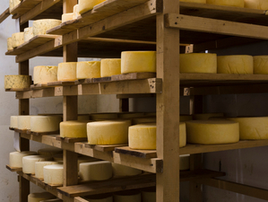 Новосибирский завод ускорил производство продукции на 25%