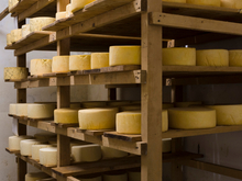 Новосибирский завод ускорил производство продукции на 25%