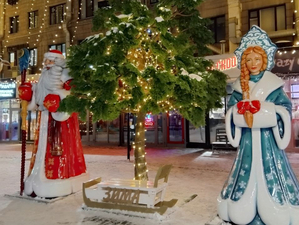 Назвали предприятия Новосибирска, победившие в конкурсе новогоднего оформления