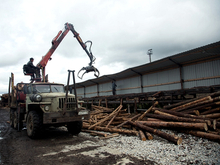 Россельхоз пересчитал аренду задним числом и требует с лесопромышленников миллиарды